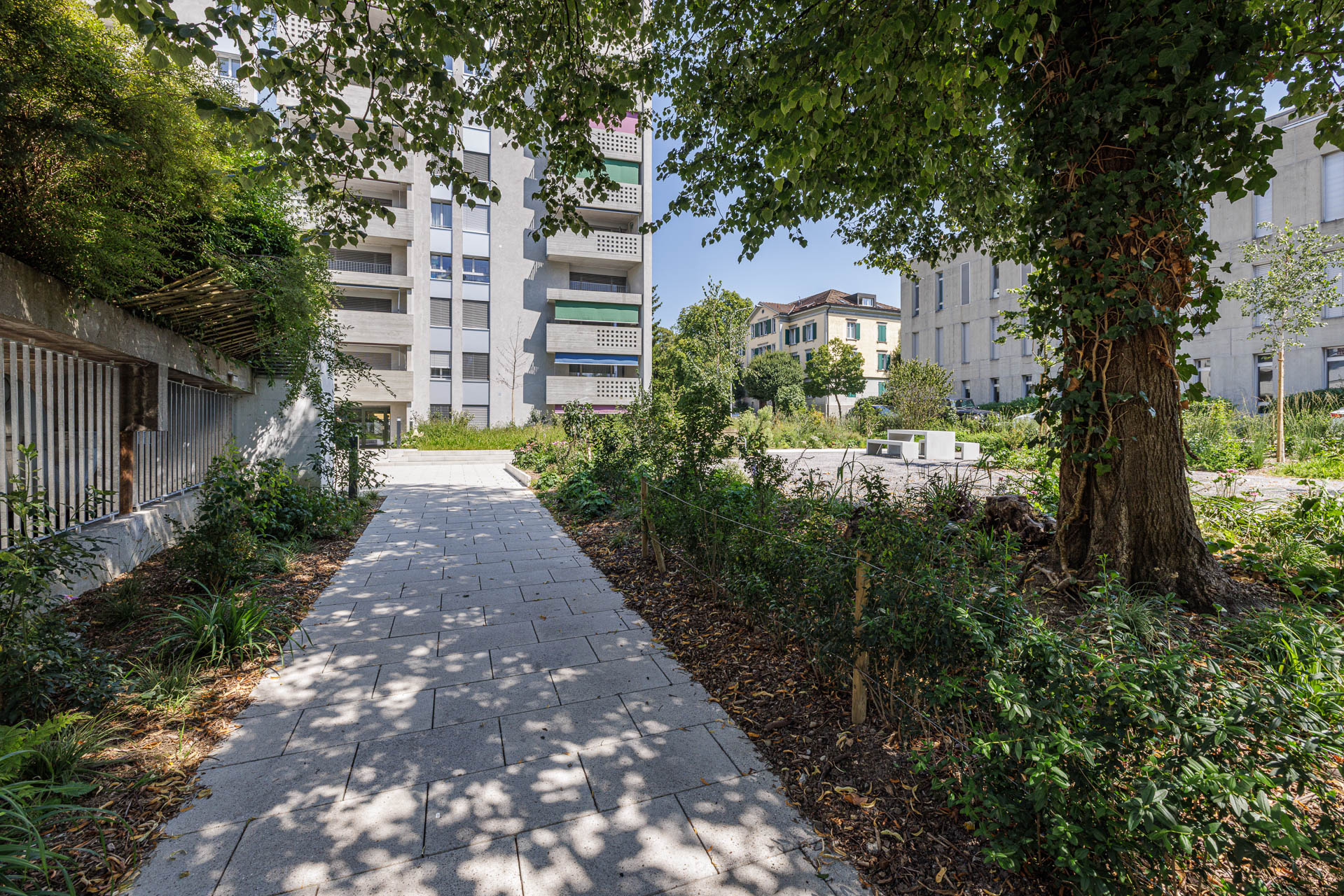 Bild: /bilder/00-Vonwilstrasse-22.jpg nicht gefunden